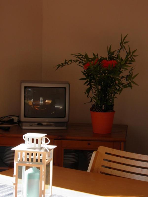 Maremmare Tuscany Apartments برانسيبينا أو ماري المظهر الخارجي الصورة